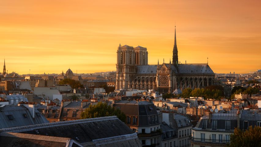 Kathedrale Notre-Dame, Paris, Frankreich