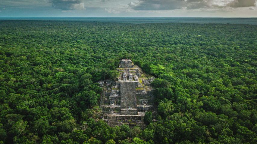 Vom Dschungel umgebene Ruinen der alten Maya-Stadt Calakmul, Campeche, Mexiko