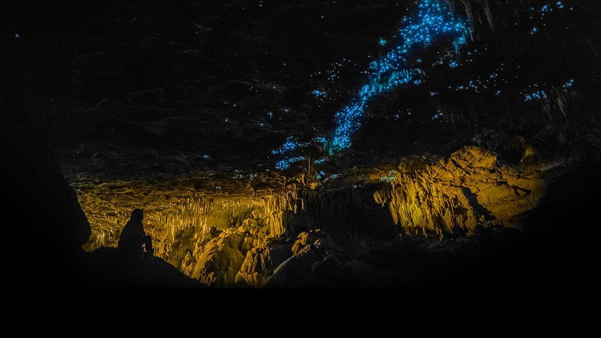 Waitomo Caves, Neuseeland 