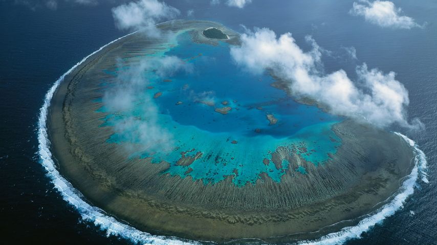 Lady Musgrave Island, Great Barrier Reef, Australien