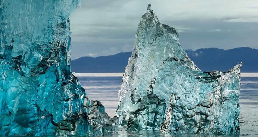 Eisberg beim Zugang zur Holkham Bay, Tracy Arm-Fords Terror Wilderness, Tongass-Nationalforst, Alaska