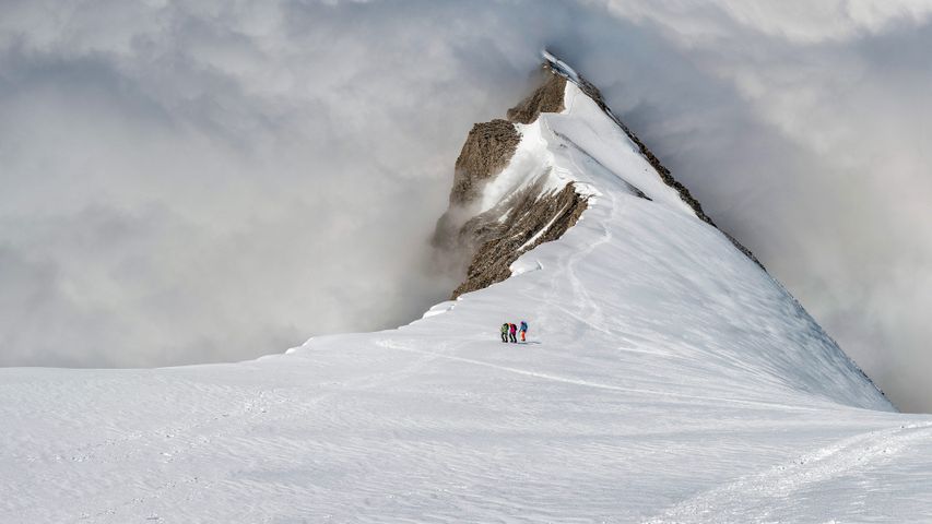 Bergsteiger am Balmhorn, Berner Alpen, Schweiz 