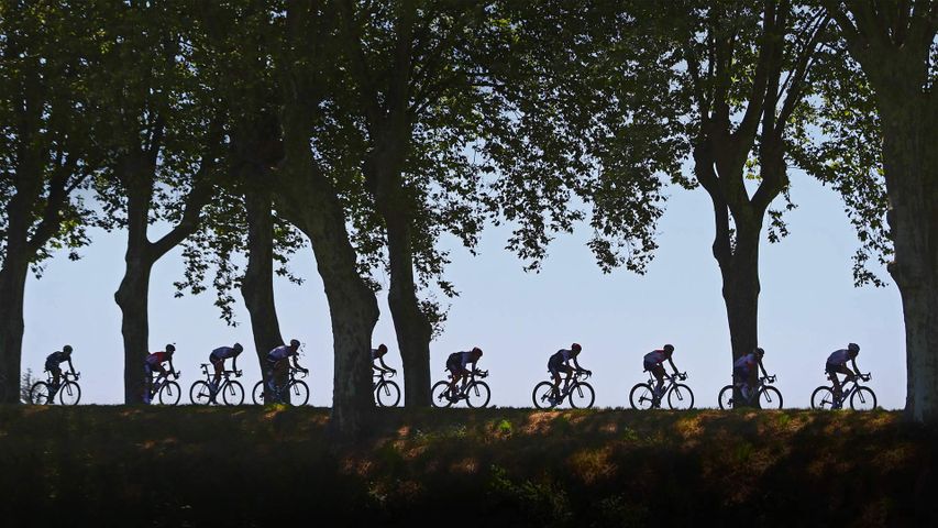 Radrennfahrer während der Tour de France 2016 