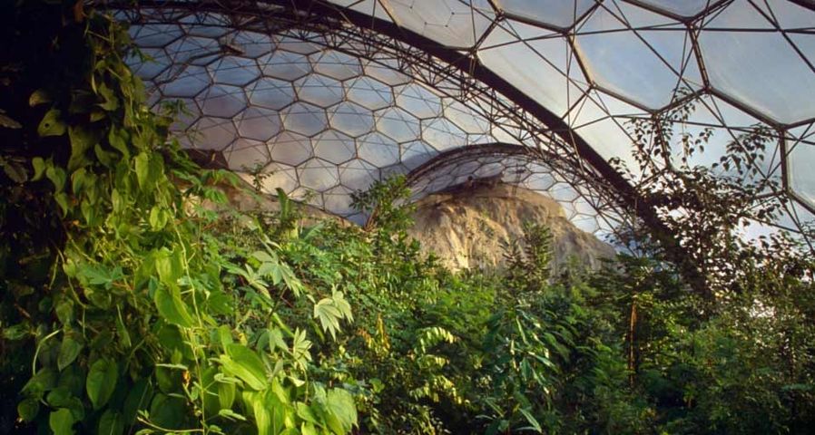 Die subtropische Biosphären-Kuppel im Eden Project, Cornwall, England  – Harpur Garden Library/Corbis ©