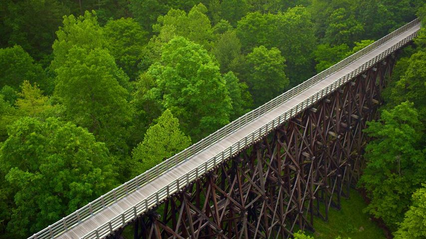 Trestle Eisenbahnbrücke, Virginia Creeper Wanderweg, Virginia