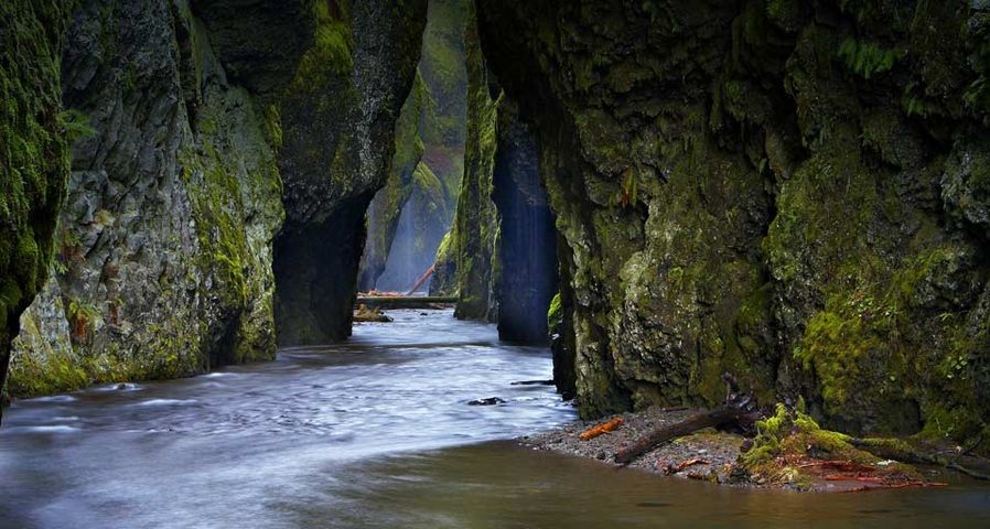 Der Columbia River auf dem Weg durch die Oneonta-Klamm, Oregon, USA – age fotostock/SuperStock ©
