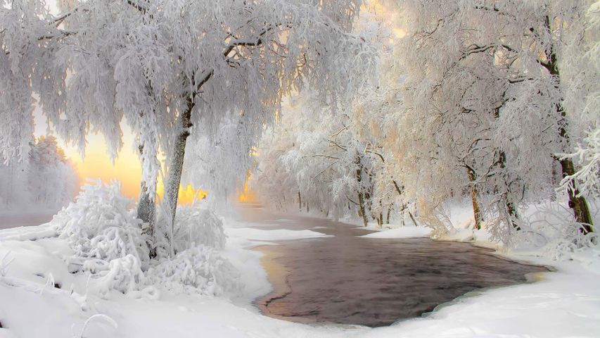 Winterlandschaft in der Nähe von Kuhmo, Finnland 