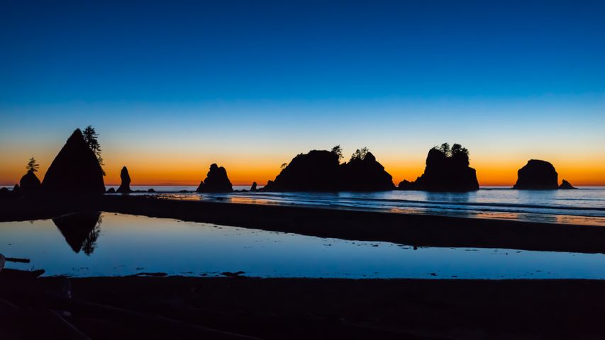 Shi Shi Beach im Olympic-Nationalpark, Washington, USA