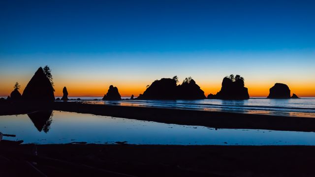 奥林匹克国家公园石狮海滩,华盛顿州,美国