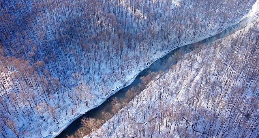 Luftbild eines Flusses in Virginia, USA.