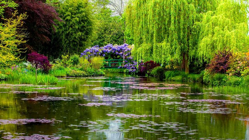 Claude Monet-Garten in Giverny, Département Eure, Region Haute-Normandie, Frankreich