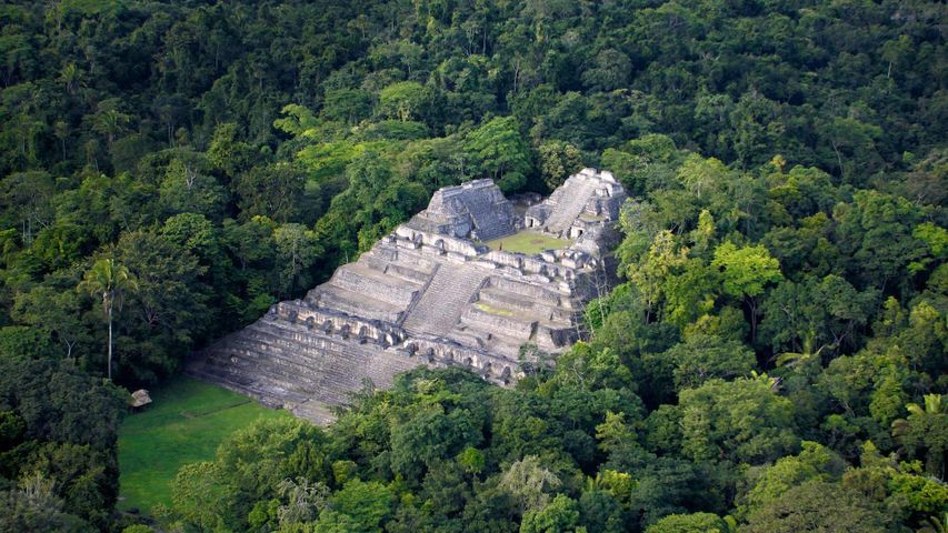 Maya-Ruinen von Caracol, Belize 