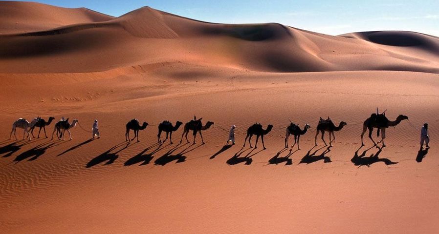 Kamelkarawane in der Sahara bei  Djanet, Algerien