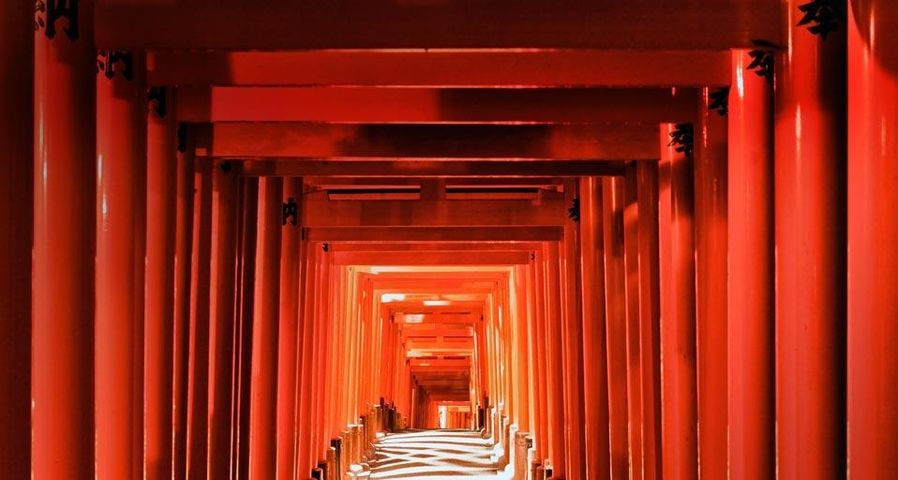 Gang aus Torii am Fushimi Inari-Taisha, einem Shinto-Schrein in Kyoto