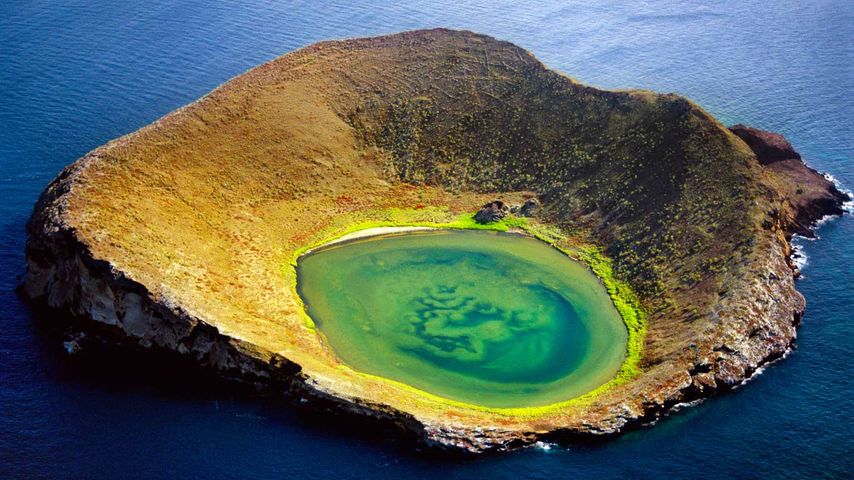 Vulkankrater, Insel San Salvador (Santiago), Galapagosinseln, Ecuador
