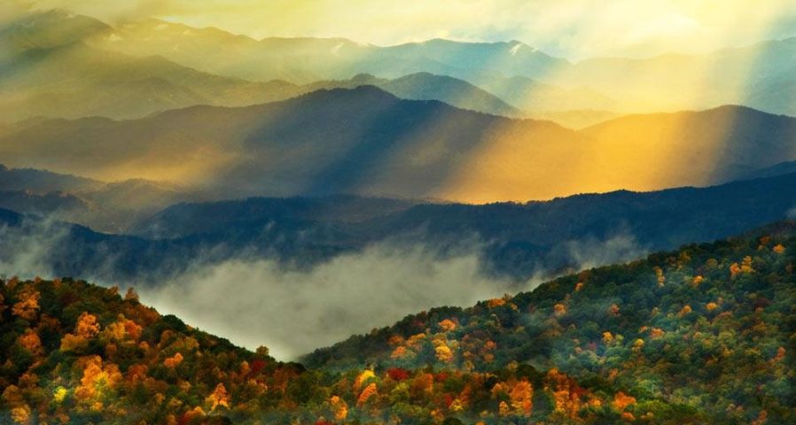 Leuchtender Herbst im Great Smoky Mountains Nationalpark, North Carolina