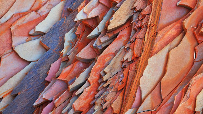 Steinstruktur in Hamersley Gorge, Karijini-Nationalpark, Australien
