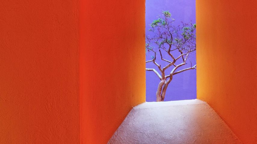 Orangefarbener Korridor, San Jose del Cabo, Los Cabos, Mexiko