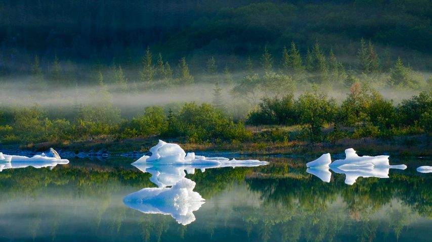 Bear Glacier Lake, Kenai-Fjords-Nationalpark, Alaska, USA