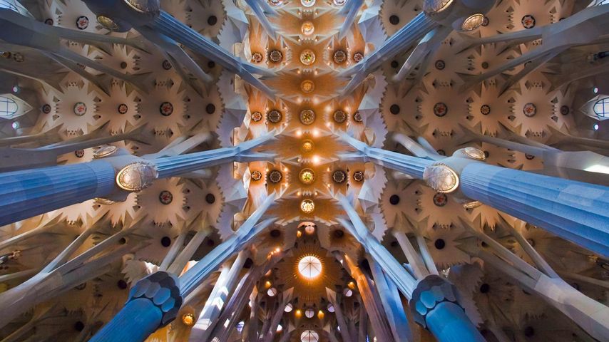 Deckengewölbe der Sagrada Família in Barcelona, Spanien