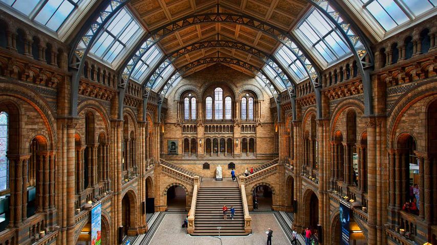 Haupthalle des Natural History Museums, London