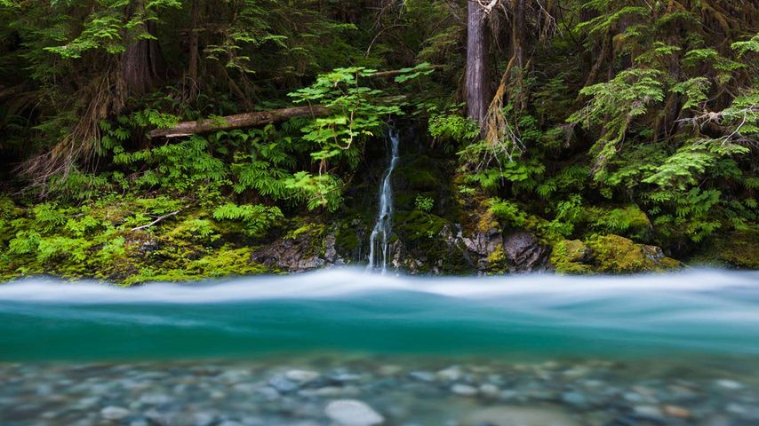 Bacon Creek, Mount Baker-Snoqualmie National Forest, Washington, USA 