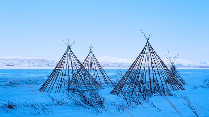Segmente samischer Lávvu-Zelte, Finnmark, Norwegen 