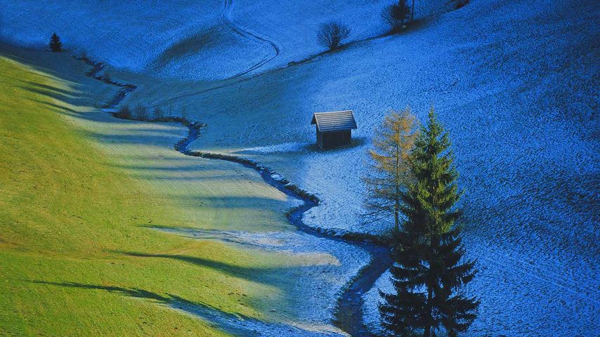 Weide bei Tulfes, Tirol, Österreich