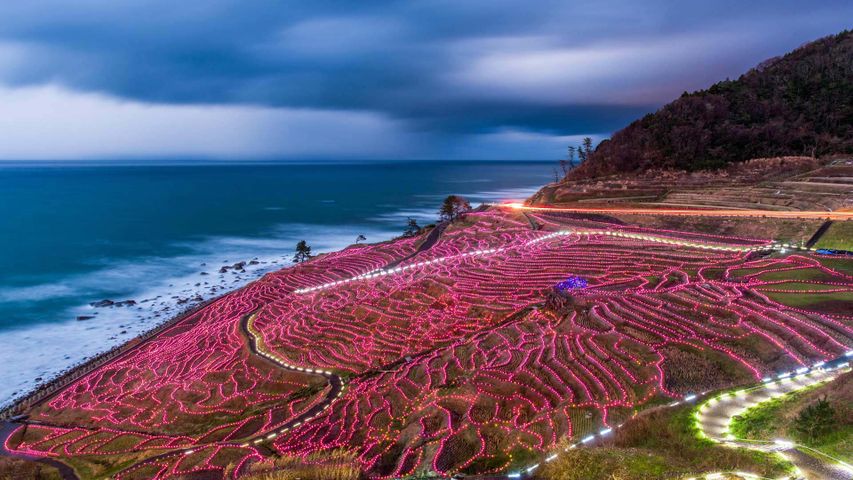 Von Lichterketten beleuchtete Reisterrassen nahe Wajima, Japan 