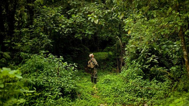 【今日世界护林员日】El Triunfo生物圈保护区内的护林员，墨西哥 