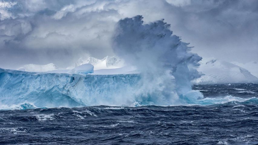 Auf dem Meer treibender Eisberg in der Antarktis 