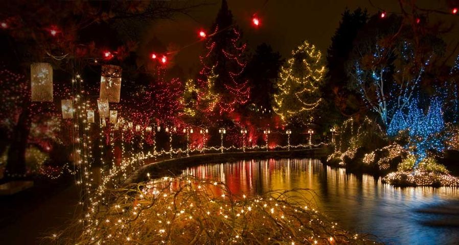 Weihnachtsbeleuchtung im Botanischen Garten VanDusen, Vancouver, Kanada – Mark Turner/age fotostock ©