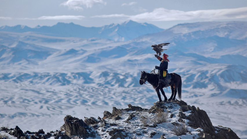 Ein Reiter mit seinem Adler bei der Jagd im Altai-Gebirge, Mongolei