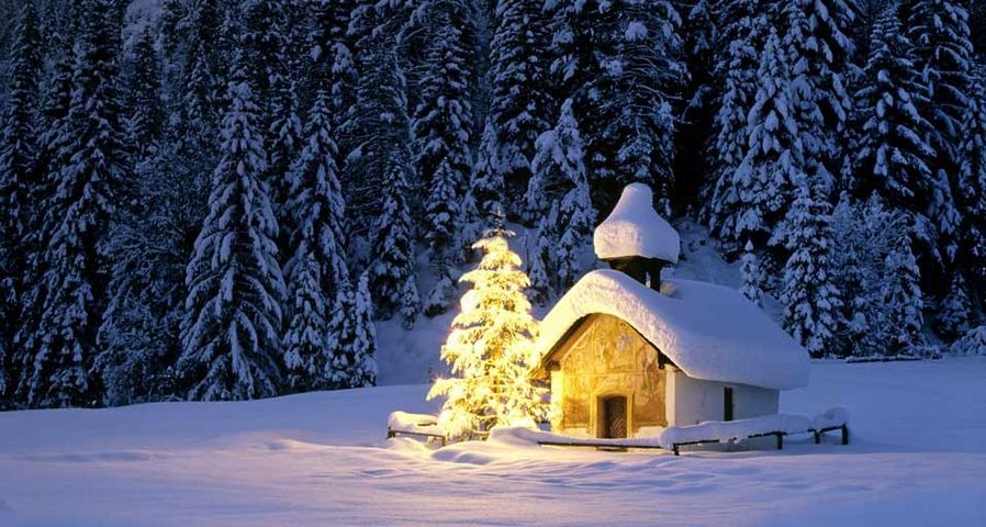 Kleine Kapelle samt Tannenbaum versinkt im Schnee, Bayern, Deutschland