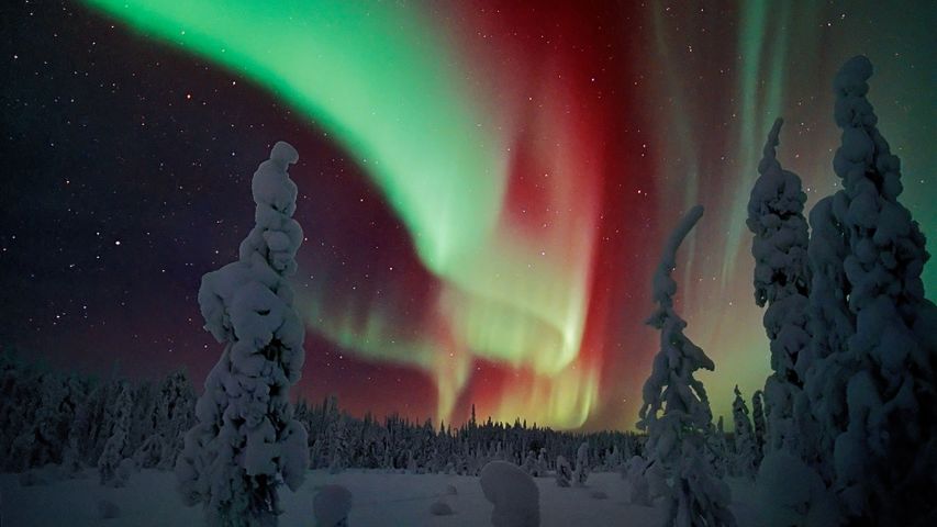 Polarlicht über Finnland 