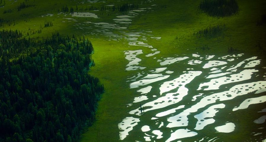 Kleine Seen in einem Feuchtgebiet südlich von Anchorage, Alaska – Blaine Harrington III/Corbis ©