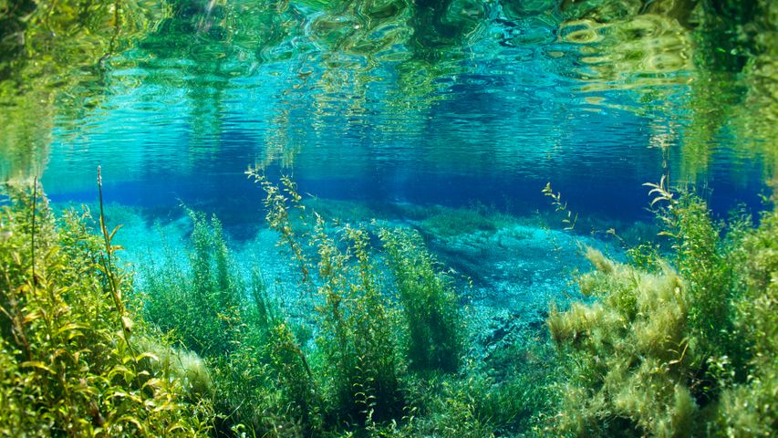 Rainbow River im Rainbow Springs State Park, Florida, USA