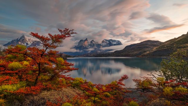 橙色秋景，佩霍湖