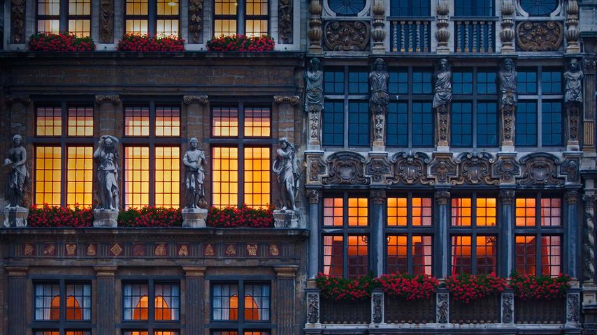 Häuserfassaden am Grand Place, Brüssel, Belgien