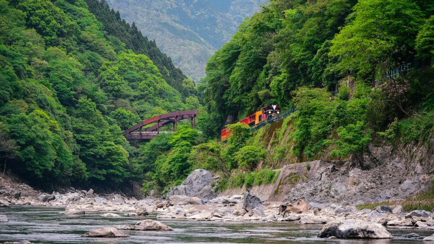Ein Zug fährt entlang des Hozugawa-Flusses in Arashiyama, Kyoto, Japan