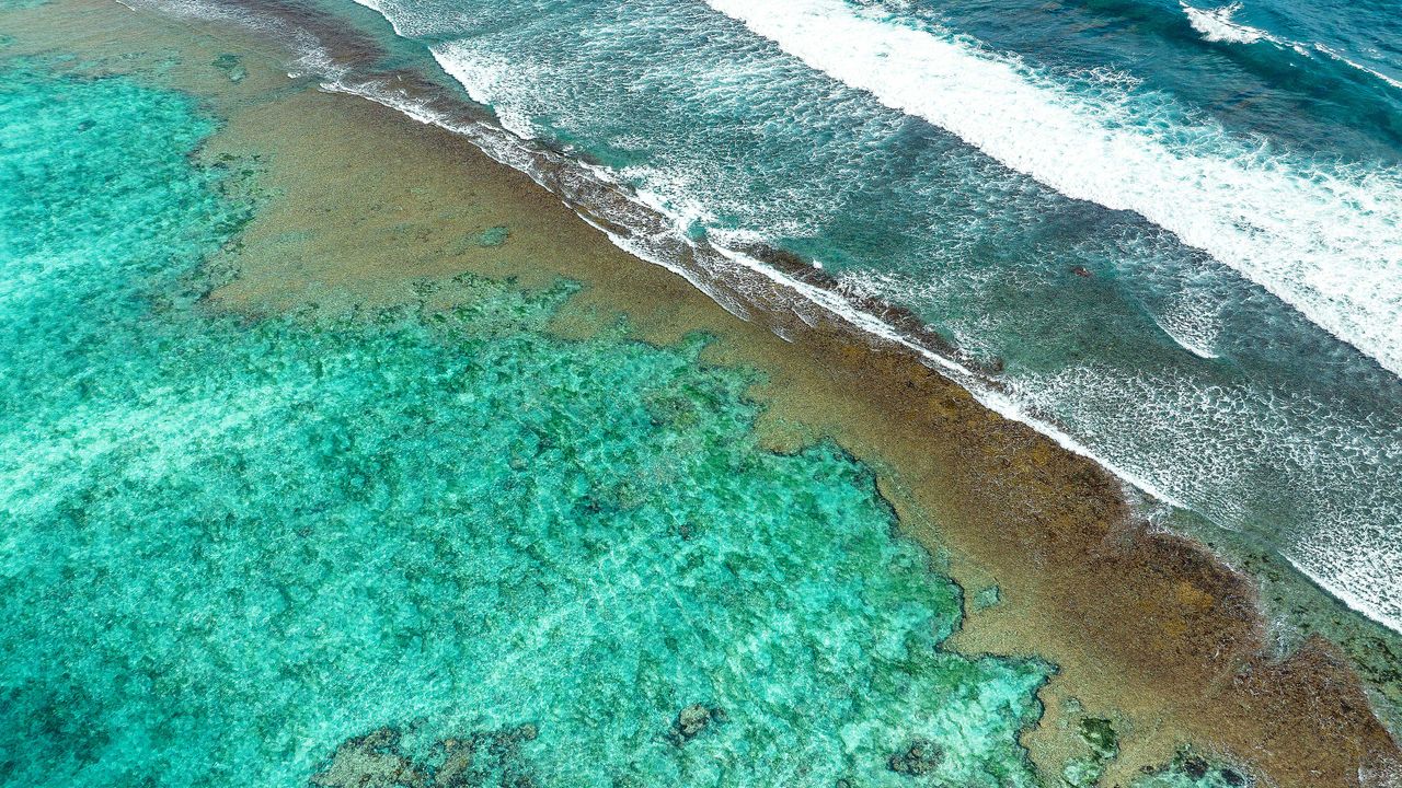 珊瑚海岸