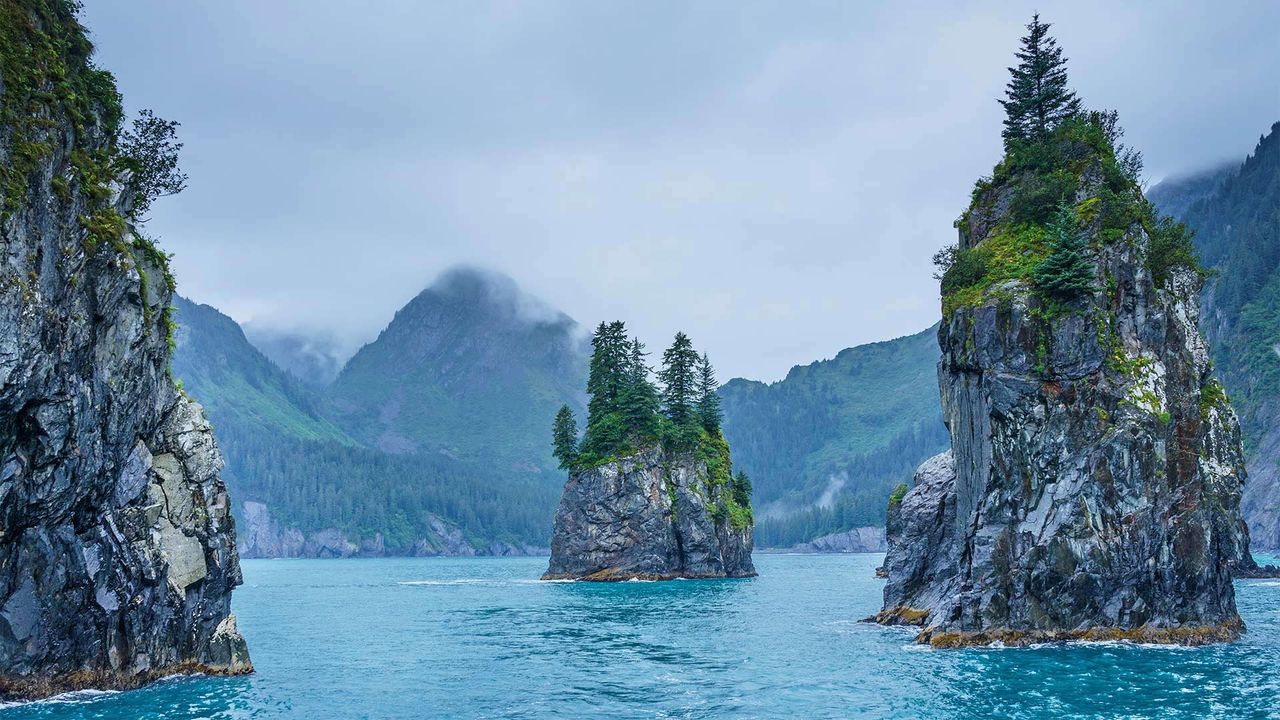 基奈峡湾国家公园的尖顶湾，阿拉斯加