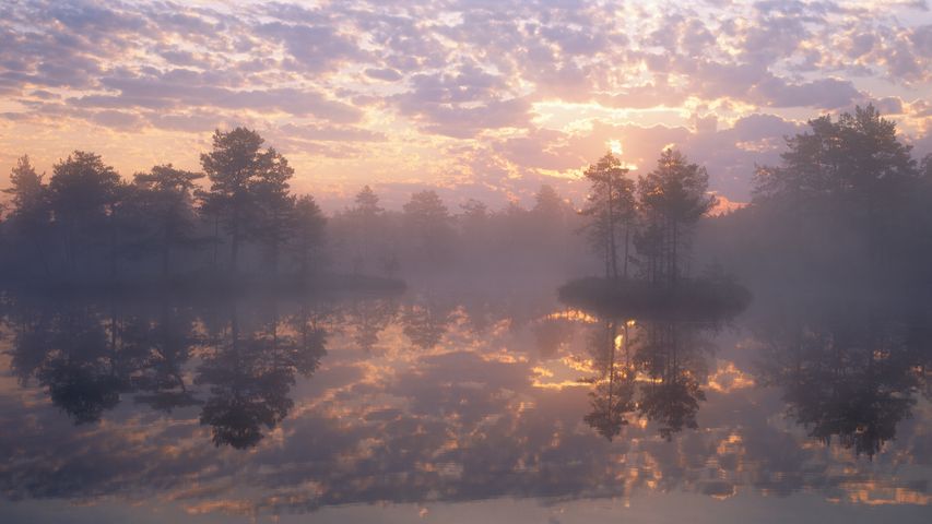 Naturschutzgebiet Knuthöjdsmossen, Schweden