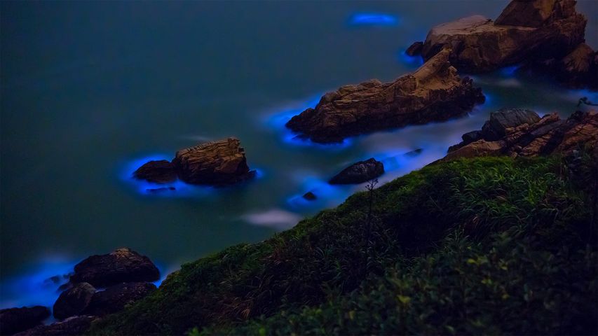 Biolumineszierende Algen an der Küste der Matsu-Inseln in der Taiwan-Straße