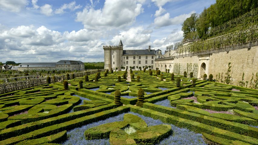 Schloss Villandry und sein Garten, Loire-Tal, Frankreich