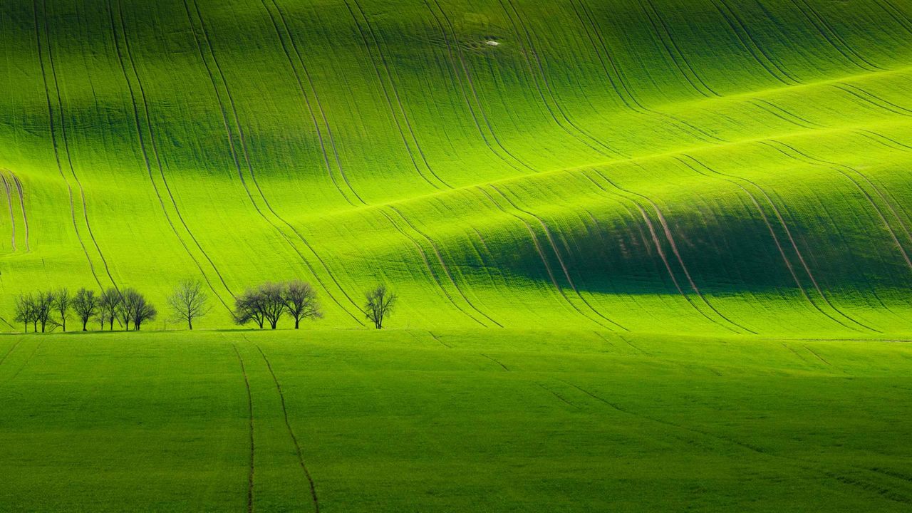 基约夫附近的南摩拉维亚风景，捷克共和国  