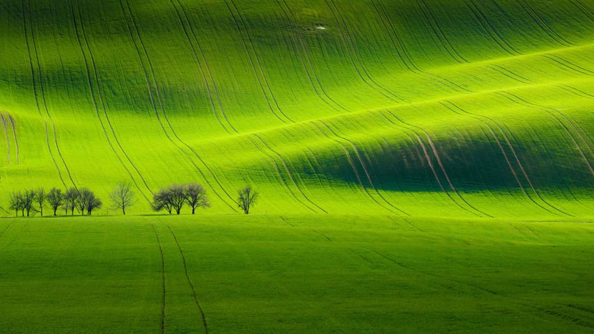 Landschaft im Süden Mährens bei Kyjov, Tschechien 