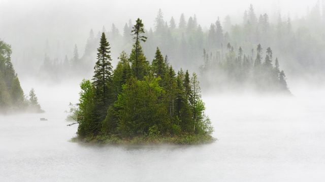 芬顿湖中雨雾缭绕的小岛，苏必利尔湖省立公园，加拿大安大略省 