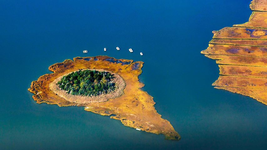 Reedy Island in der Moneyboque Bay, Long Island, New York, USA