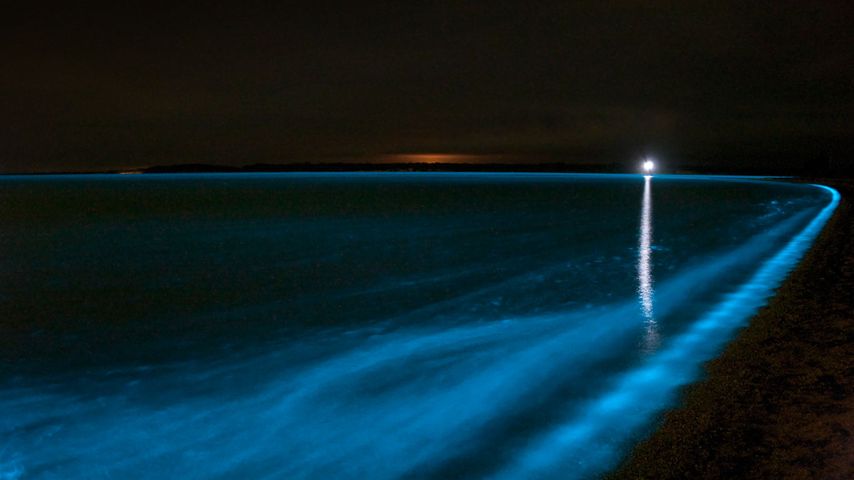 Biolumineszenz in den Gippsland-Seen, Victoria, Australien